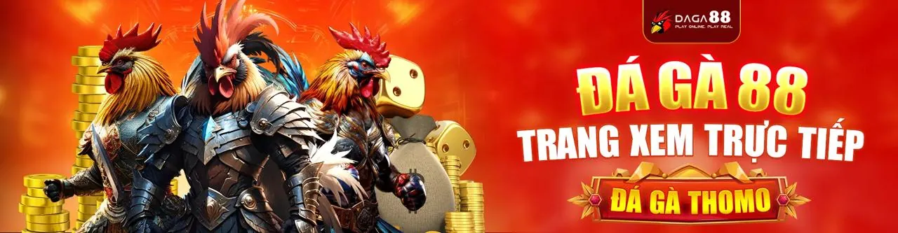 Đấu trường đá gà kịch tính tại k9cc nổ hũ
